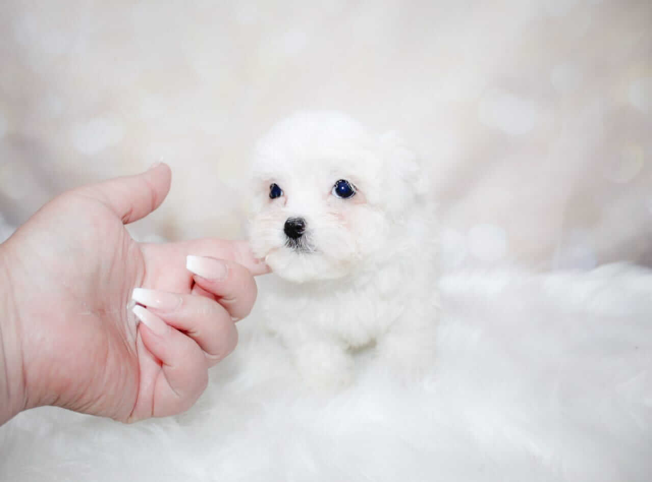 WhatsApp Image 2026-03-16 at 10.18.33 (3)