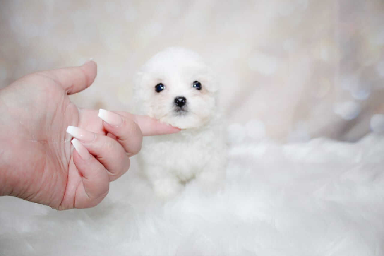 WhatsApp Image 2026-03-16 at 10.18.34 (1)