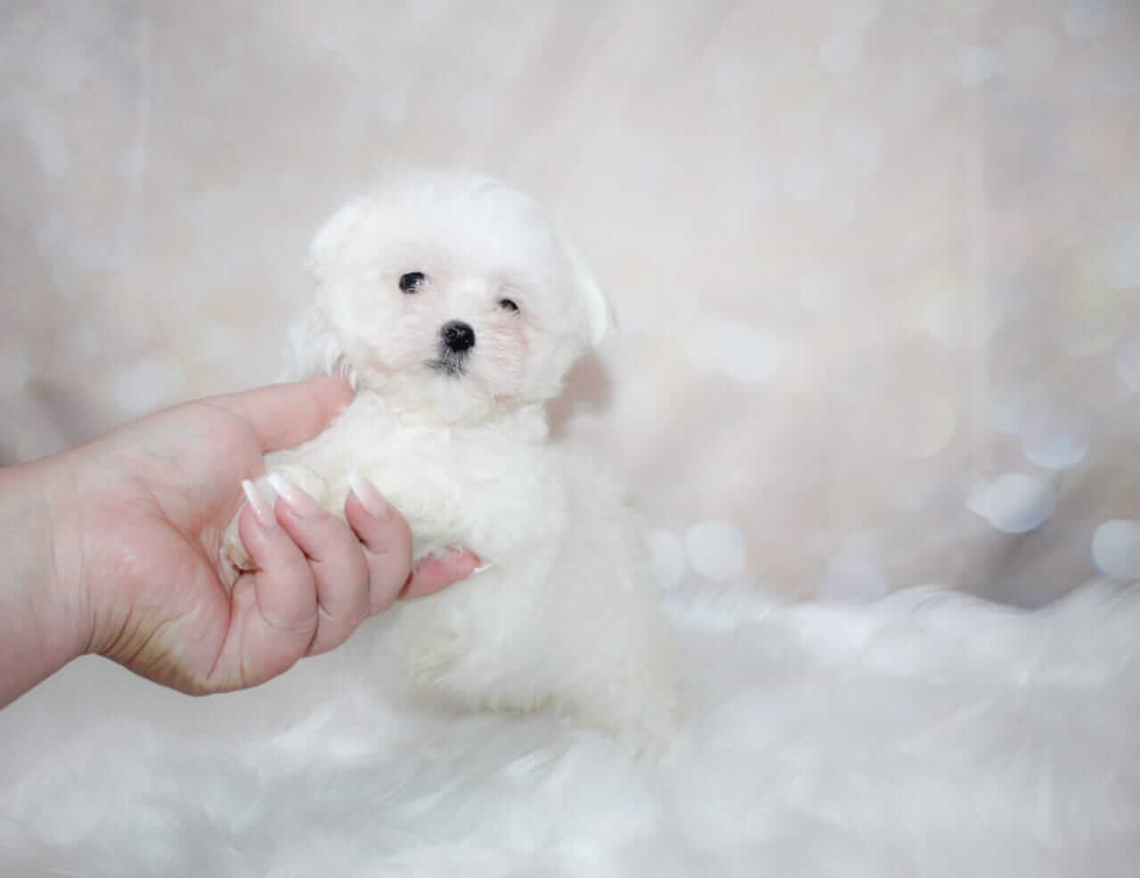 WhatsApp Image 2026-03-16 at 10.18.35 (2)