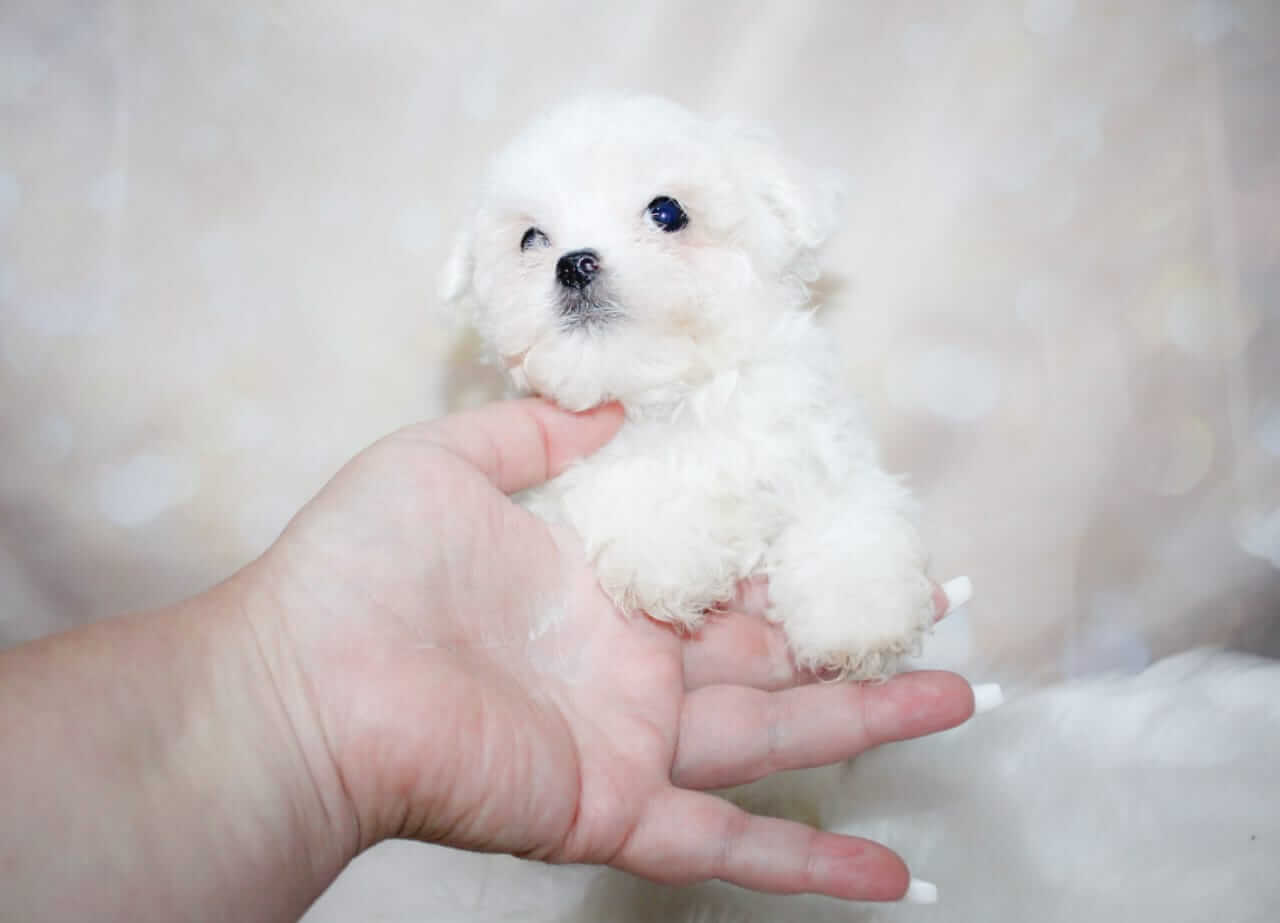 WhatsApp Image 2026-03-16 at 10.18.35