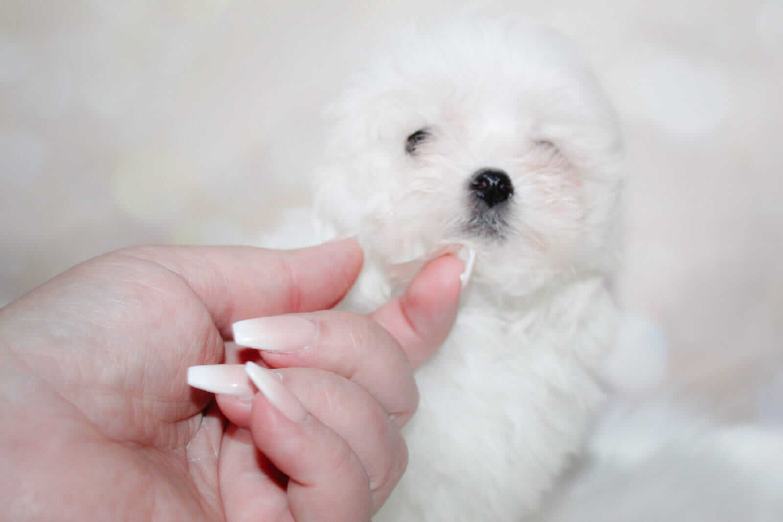 WhatsApp Image 2026-03-16 at 10.18.36 (1)